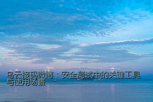 乌云接码微博：安全测试中的关键工具与使用场景