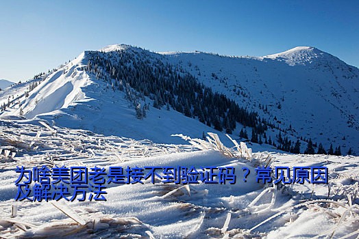 为啥美团老是接不到验证码？常见原因及解决方法
