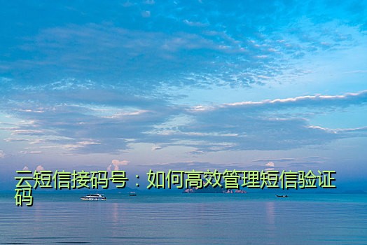 云短信接码号：如何高效管理短信验证码