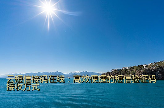 云短信接码在线：高效便捷的短信验证码接收方式