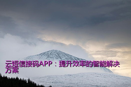 云短信接码APP：提升效率的智能解决方案