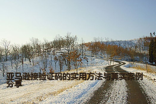 亚马逊接验证码的实用方法与真实案例分享