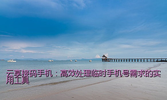 亚马逊接码软件如何提升账号运营效率