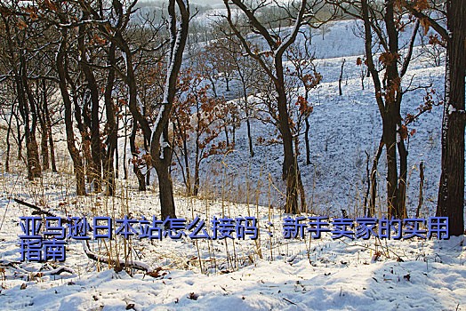 亚马逊日本站怎么接码：新手卖家的实用指南