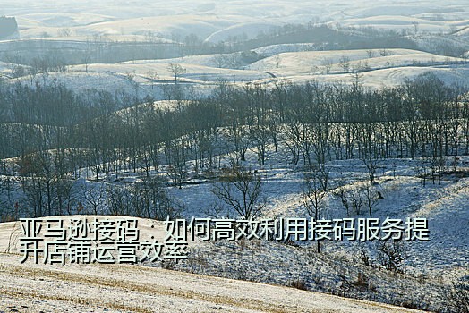 亚马逊接码：如何高效利用接码服务提升店铺运营效率