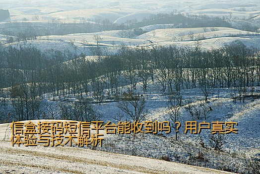 信盒接码短信平台能收到吗？用户真实体验与技术解析
