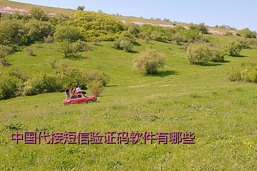 中国代接短信验证码软件有哪些