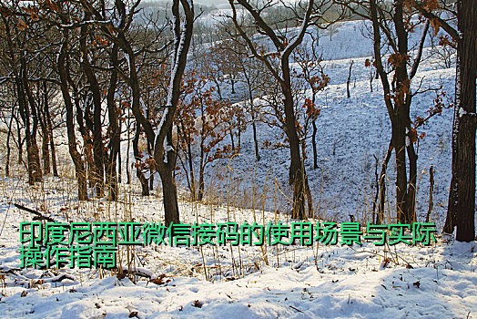 印度尼西亚微信接码的使用场景与实际操作指南