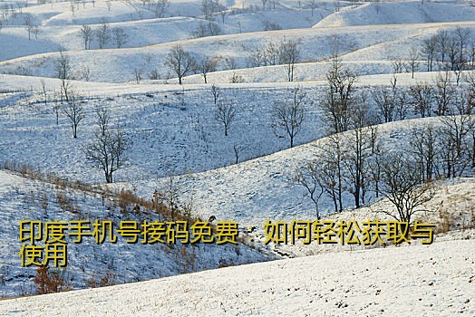 印度手机号接码免费：如何轻松获取与使用