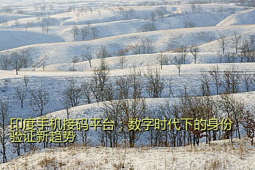 印度手机接码平台：数字时代下的身份验证新趋势