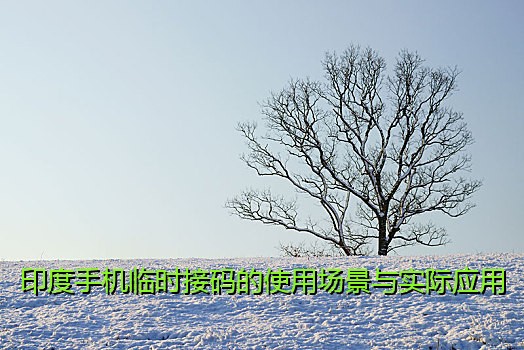 印度手机临时接码的使用场景与实际应用