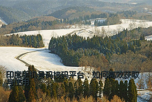 印度手机号码接码平台：如何高效获取与使用