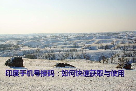 印度手机号接码：如何快速获取与使用