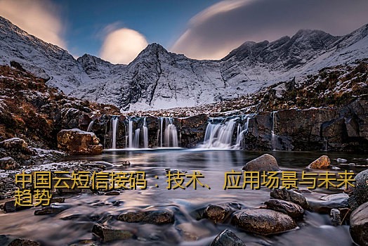 中国云短信接码：技术、应用场景与未来趋势