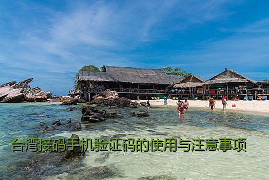 台湾接码手机验证码的使用与注意事项