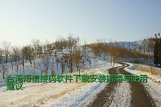 台湾短信接码软件下载安装指南与使用建议