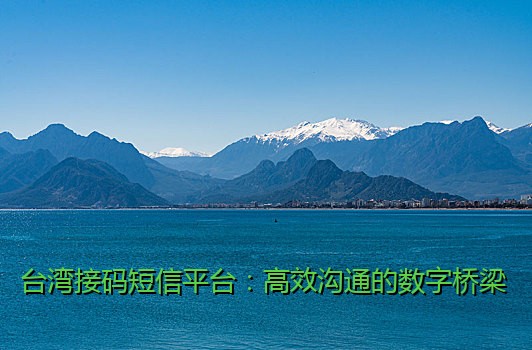 台湾接码短信平台：高效沟通的数字桥梁