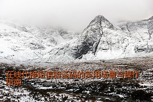 在线代接短信验证码的实用场景与操作指南
