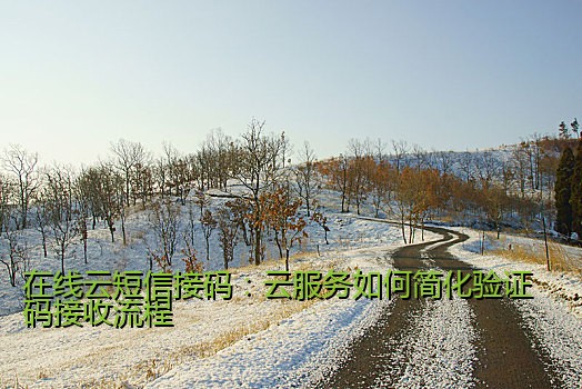 在线云短信接码：云服务如何简化验证码接收流程