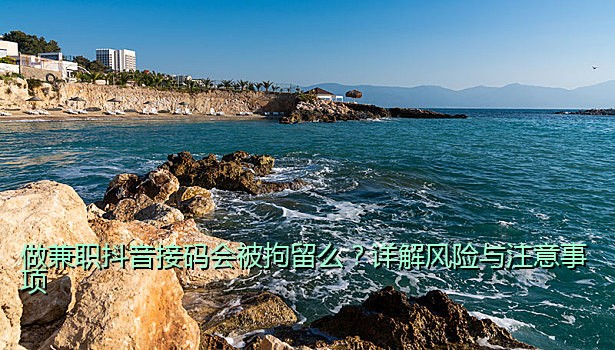 在线临时手机号接验证码的便捷应用与使用技巧