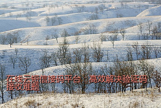 在线云短信接码平台：高效解决验证码接收难题