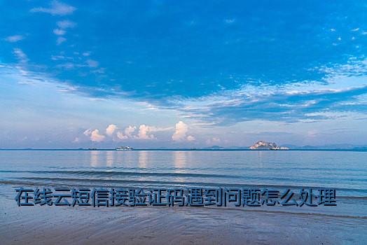 在线云短信接验证码遇到问题怎么处理